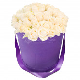 Букет из белых роз в коробке «Королева Виктория»